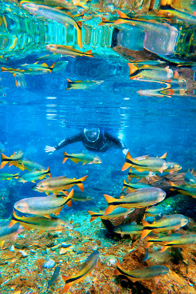 Imagem de uma linda pintura com tons vibrantes de azul, verde e amarelo, retratando um cenário aquático com peixes coloridos e reflexos na água.