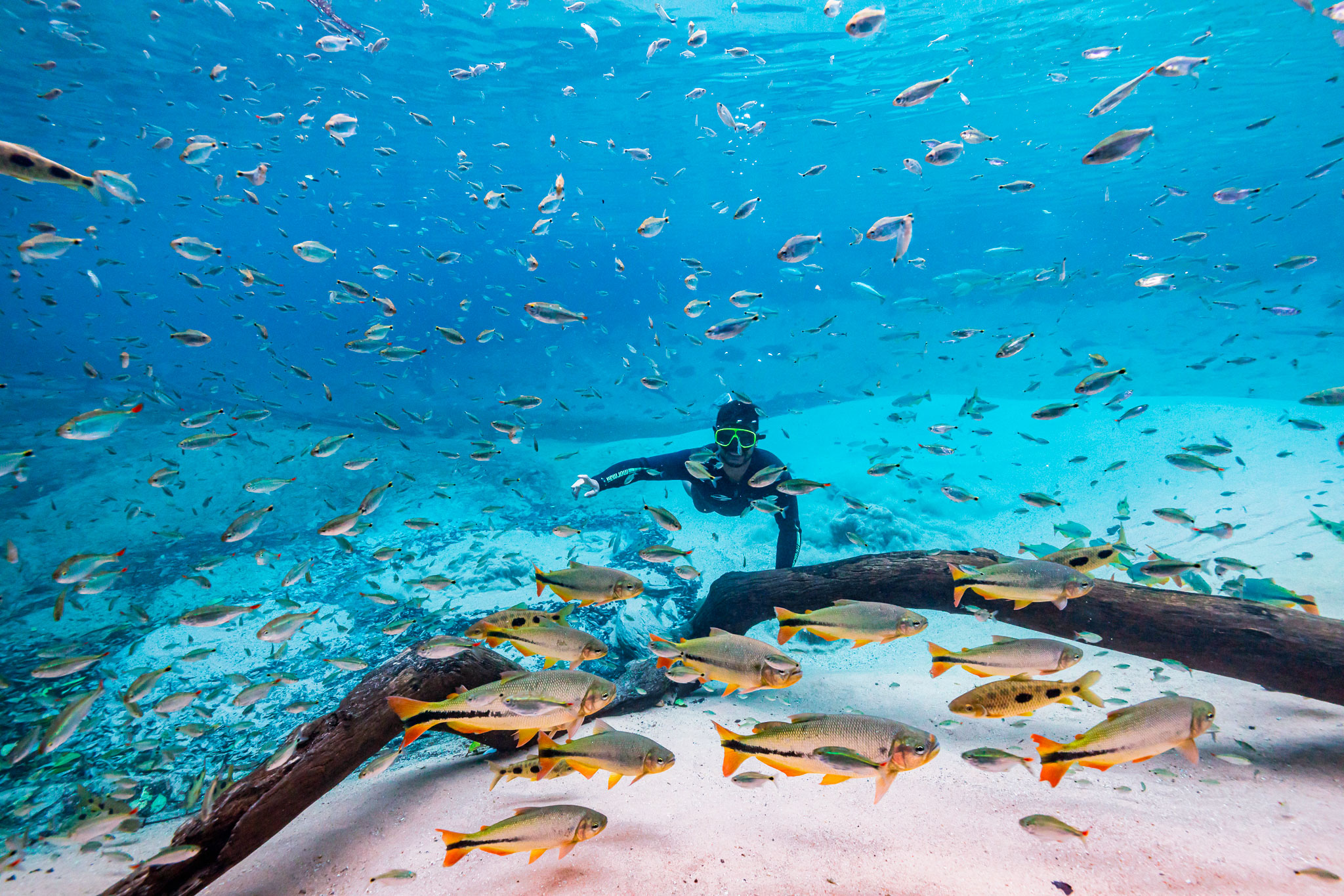 Imagem de uma pessoa fazendo flutuação em uma paisagem marítima com águas cristalinas de Bonito MS, ideal para quem busca destinos de turismo de praia e relaxamento.