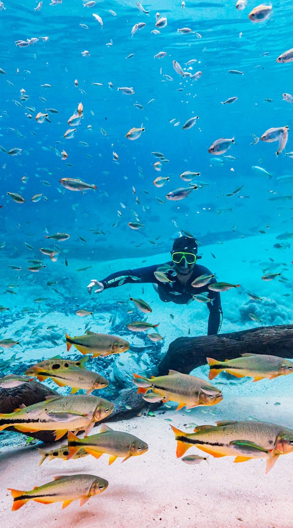 Imagem de uma pessoa fazendo flutuação em uma paisagem marítima com águas cristalinas de Bonito MS, ideal para quem busca destinos de turismo de praia e relaxamento.