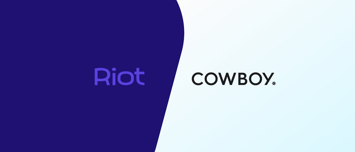 Riot Cowboy