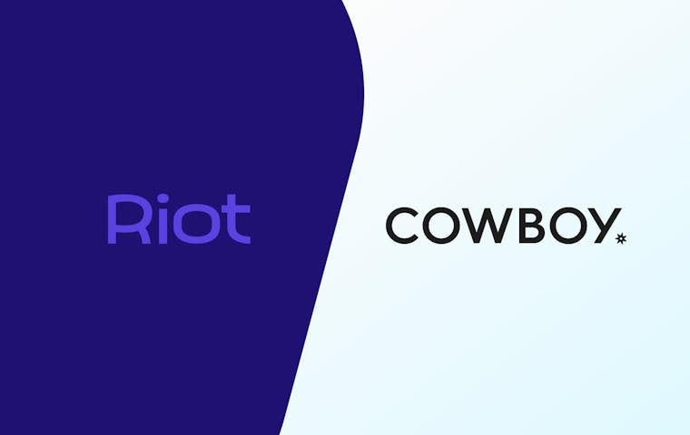 Riot Cowboy