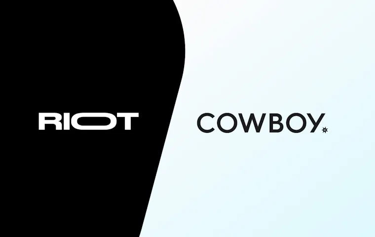 Riot Cowboy