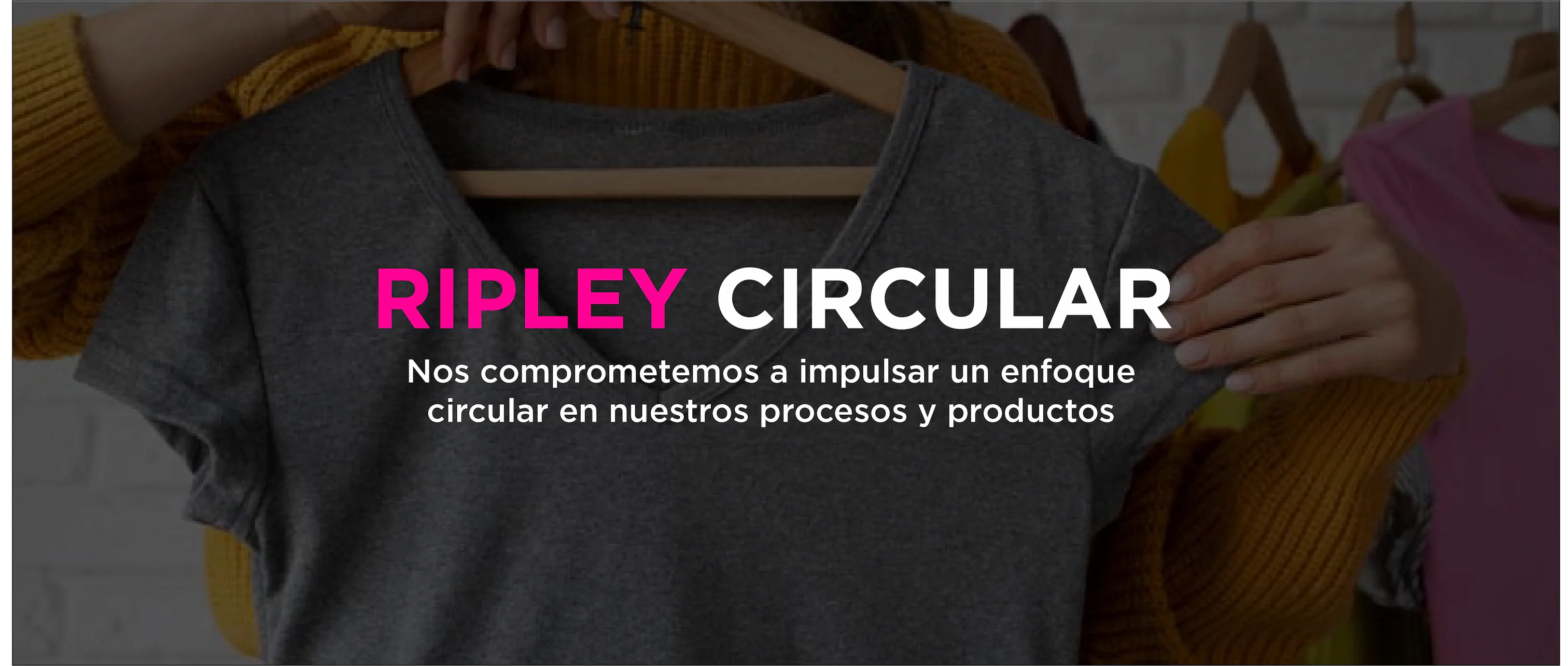 ripley circular