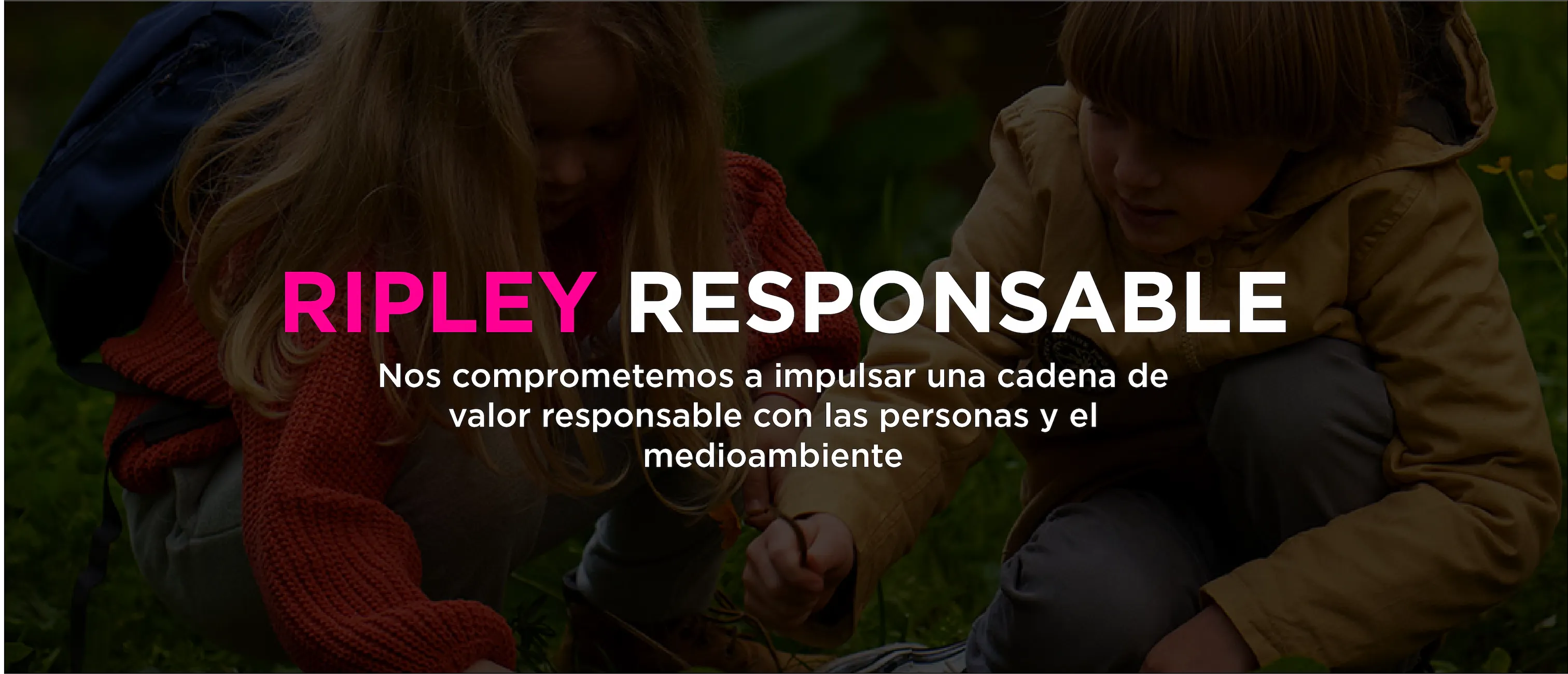Imagen del slider