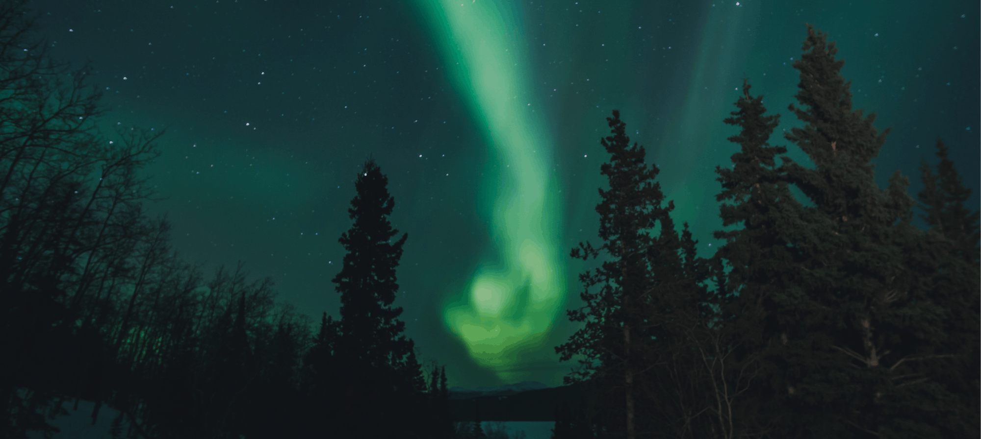 Northern Lights