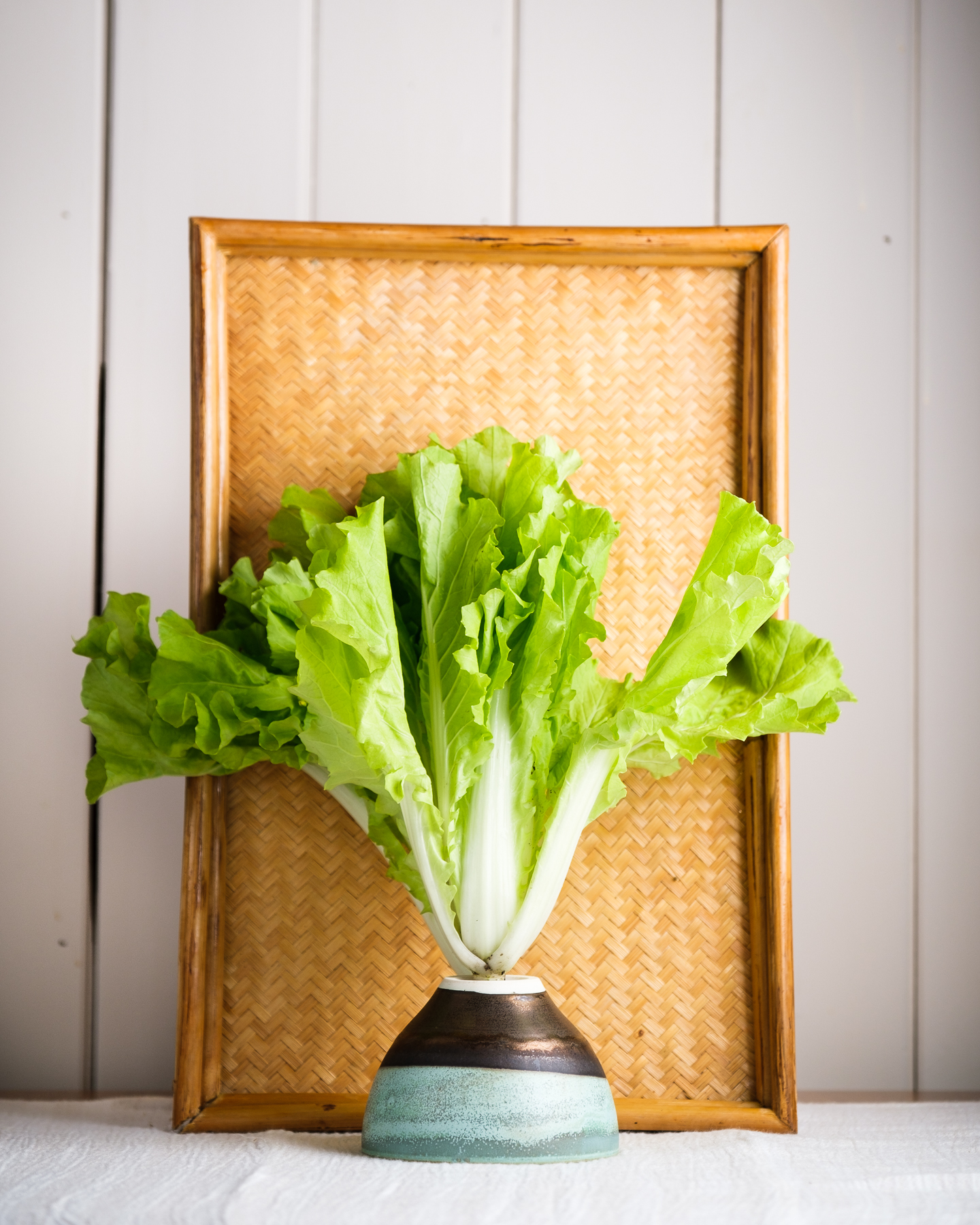 Moutarde douce bio - Le Rizen