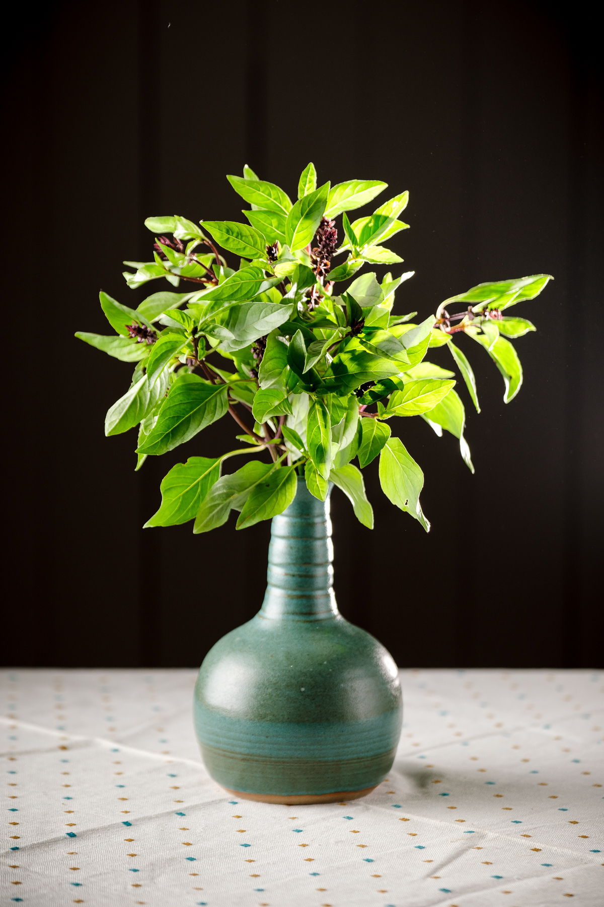 Basilic thaï bio - Le Rizen