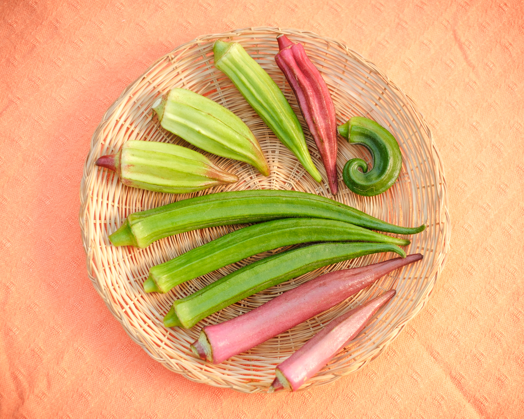 Okras multicolores - Le Rizen