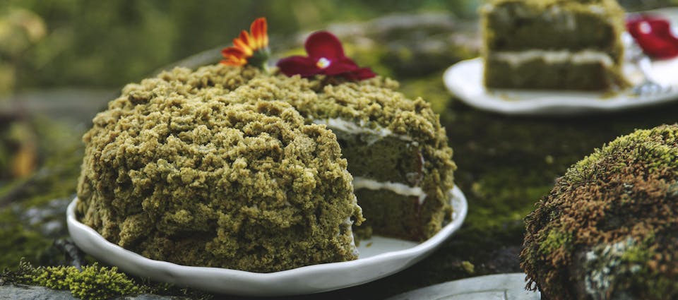 Gâteau mousse d'épinard de Malabar