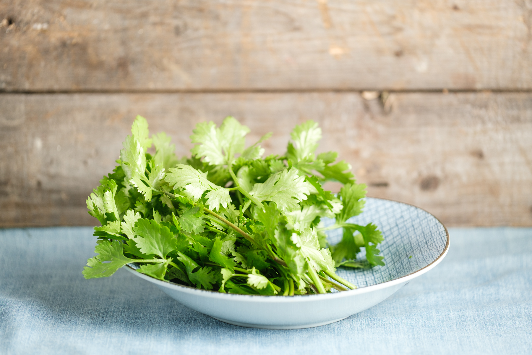 Coriandre bio - Le Rizen