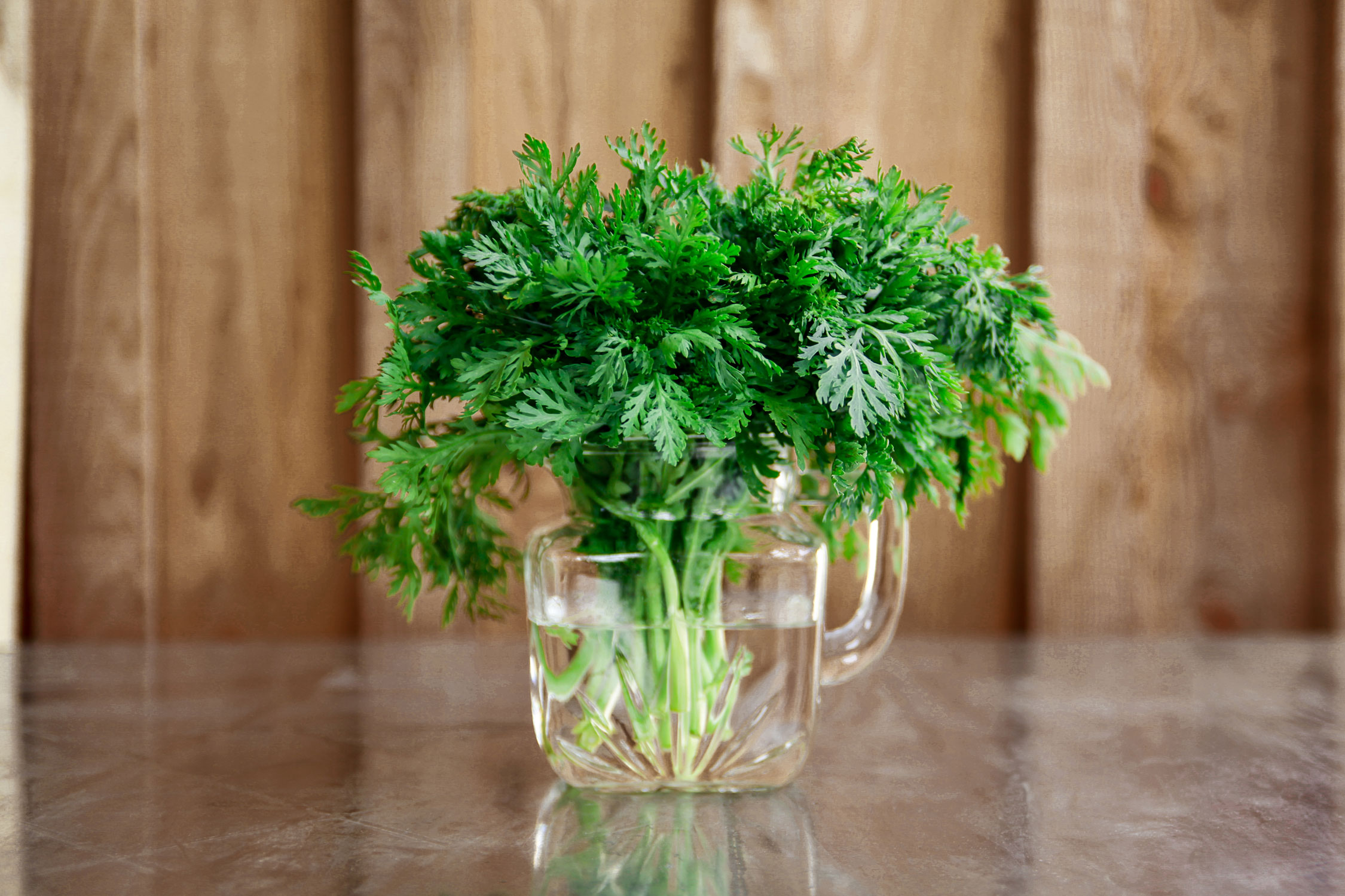 Chrysanthème comestible biologique - Le Rizen