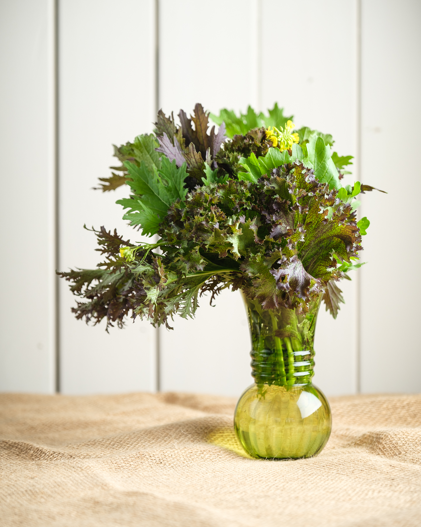 Moutardes piquantes bio - Le Rizen