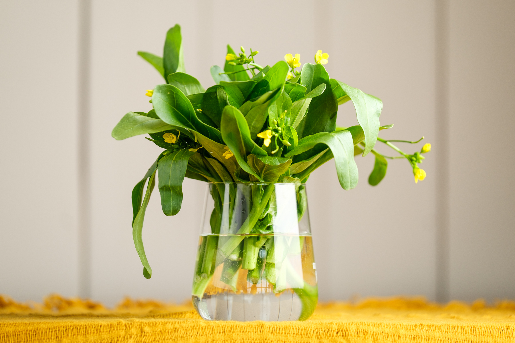 Choy sum bio - Le Rizen