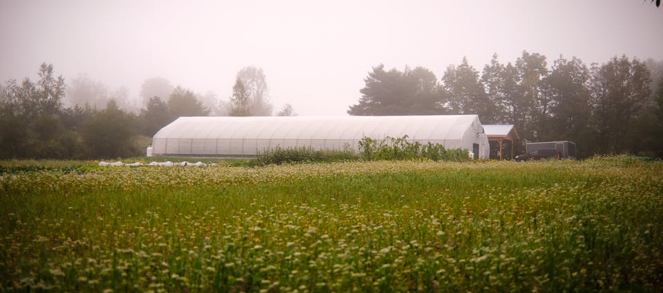 Jardin Le Rizen à Frelighsburg
