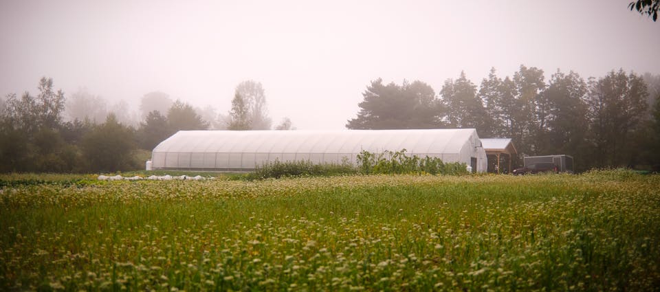 Jardin Le Rizen à Frelighsburg, un matin brumeux de septembre