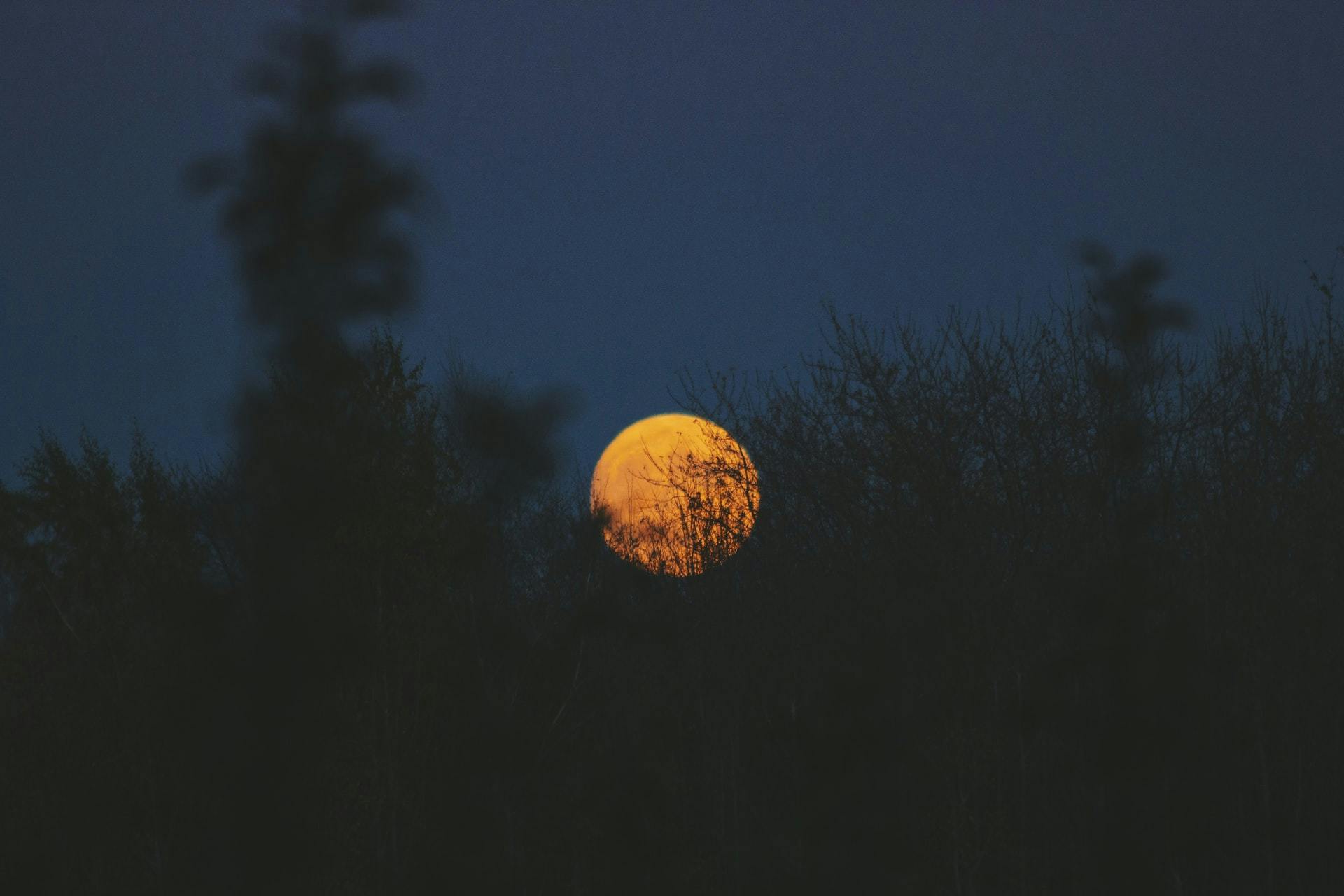 Noah Silliman (https://unsplash.com/@noahsilliman)
