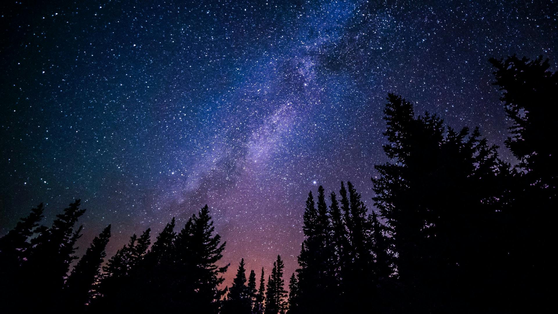 Ryan Hutton (https://unsplash.com/@ryan_hutton_)