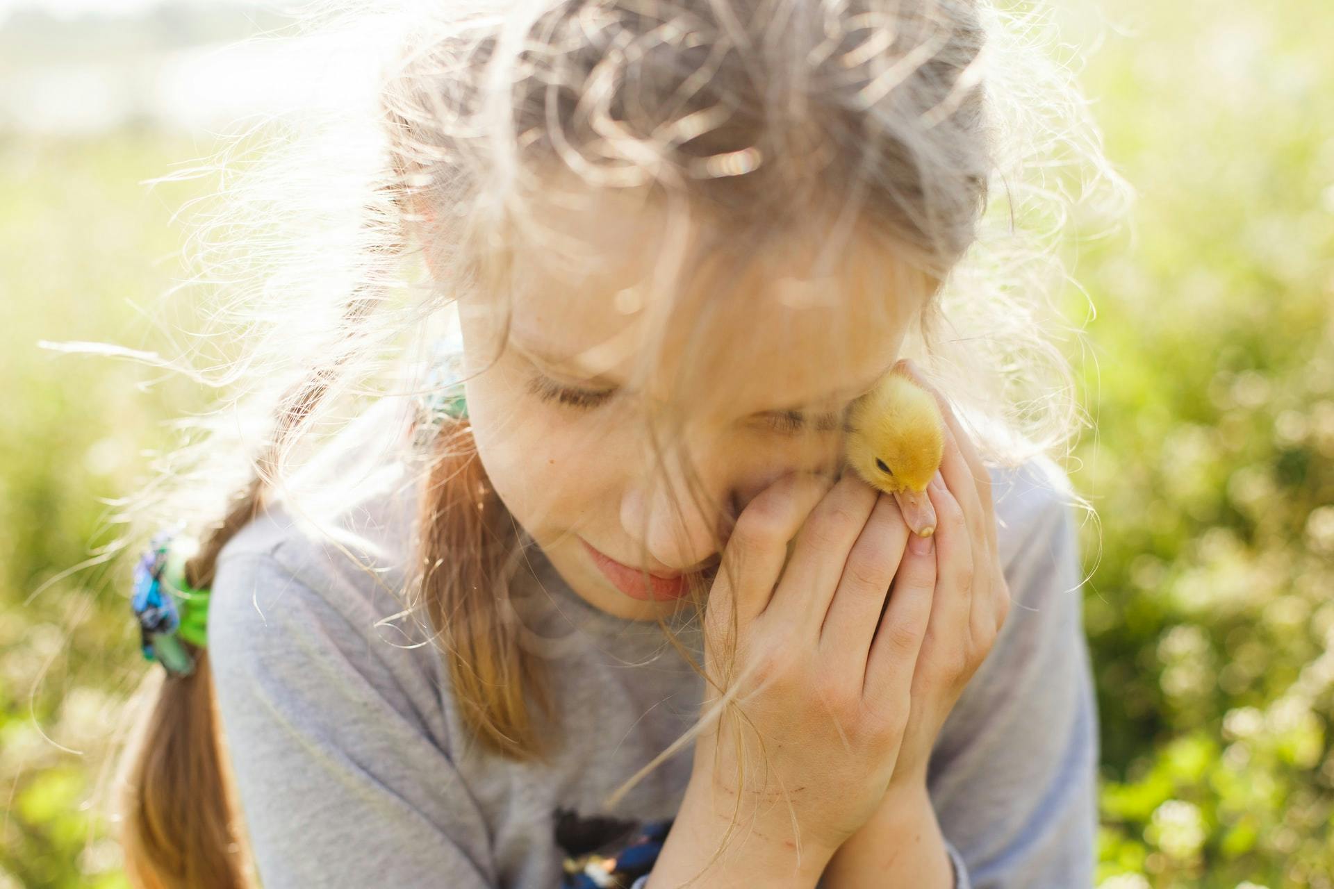 Юлія Дубина (https://unsplash.com/@yulia_dubyna)
