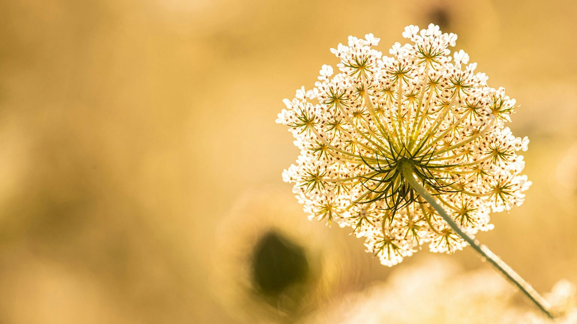 Birger Strahl (https://unsplash.com/@bist31)