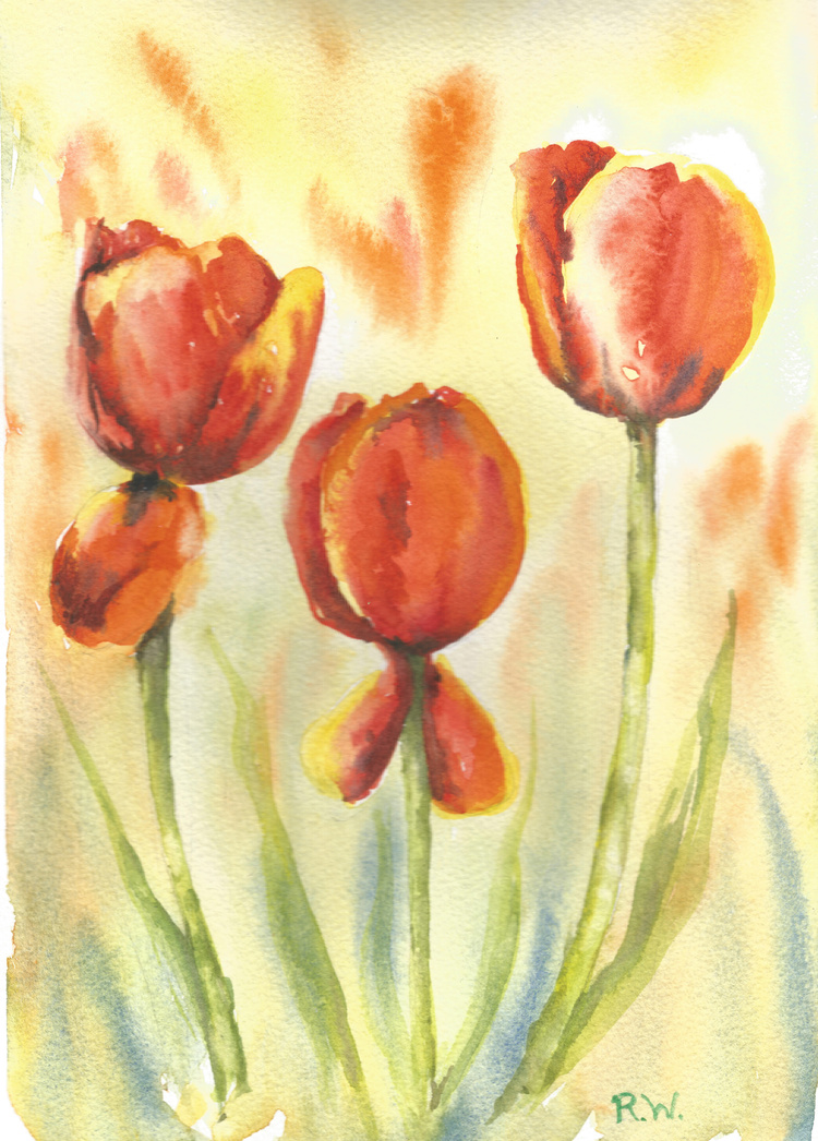 Windblown Tulips