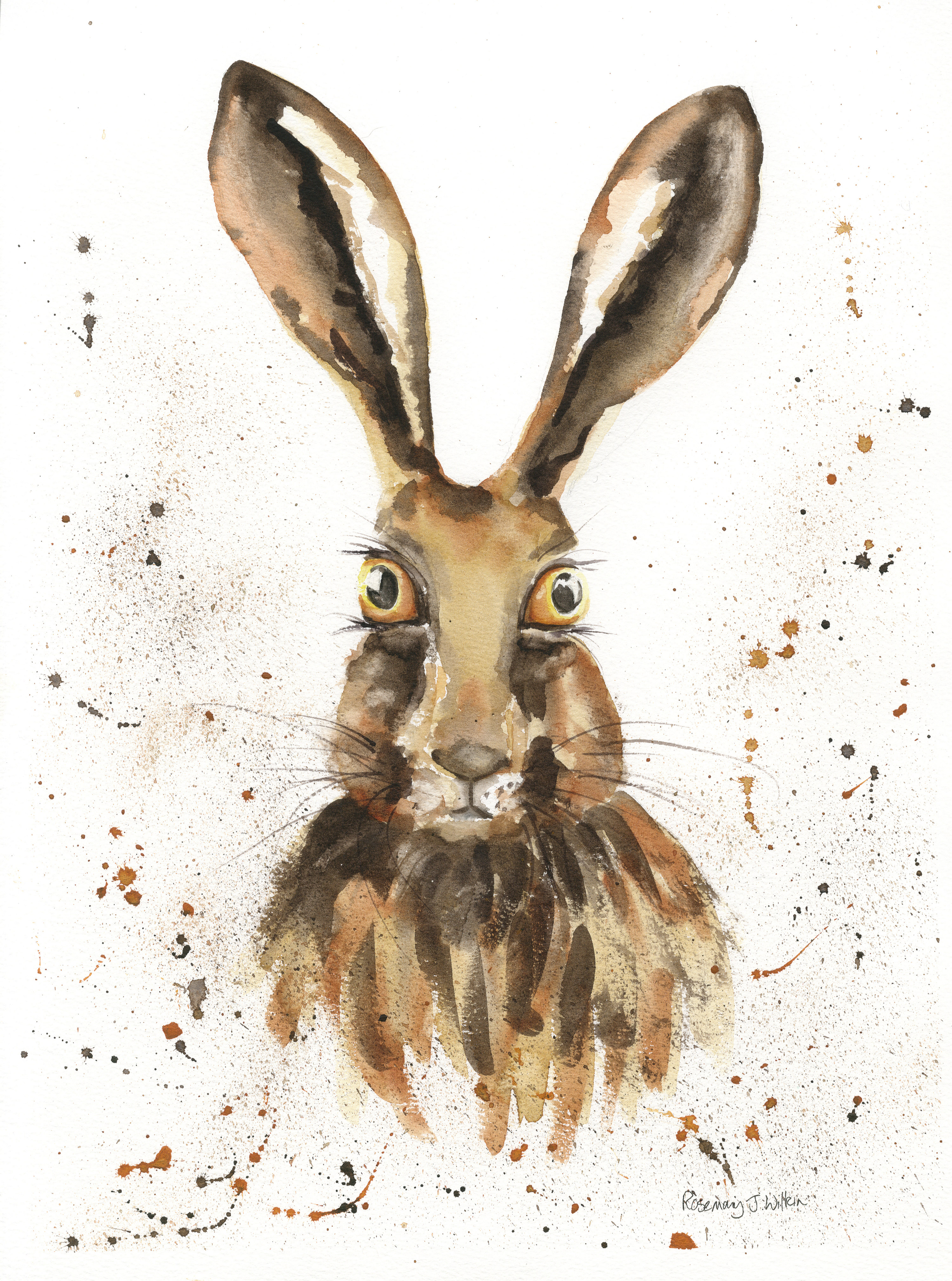 Hare