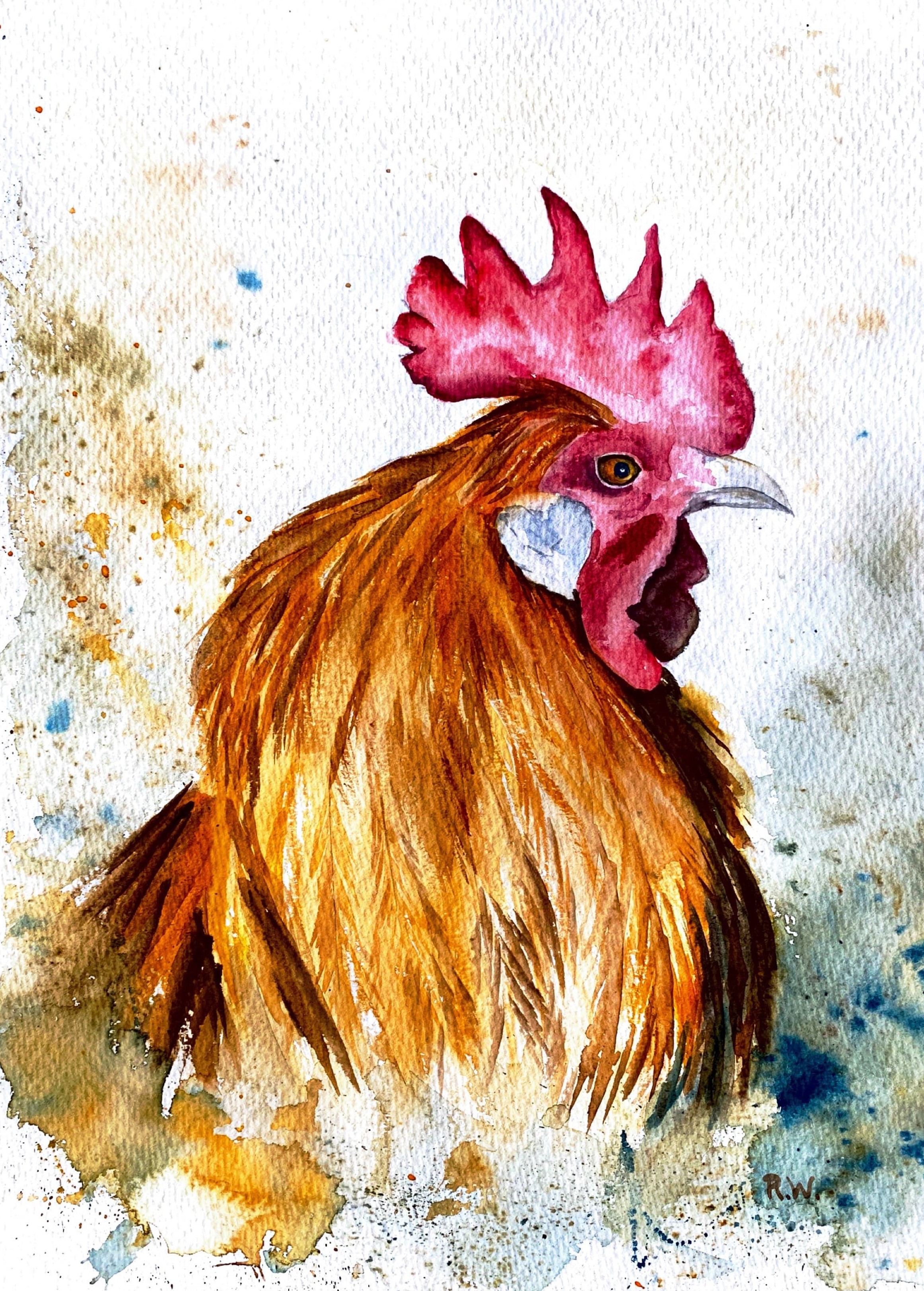 Cockerel