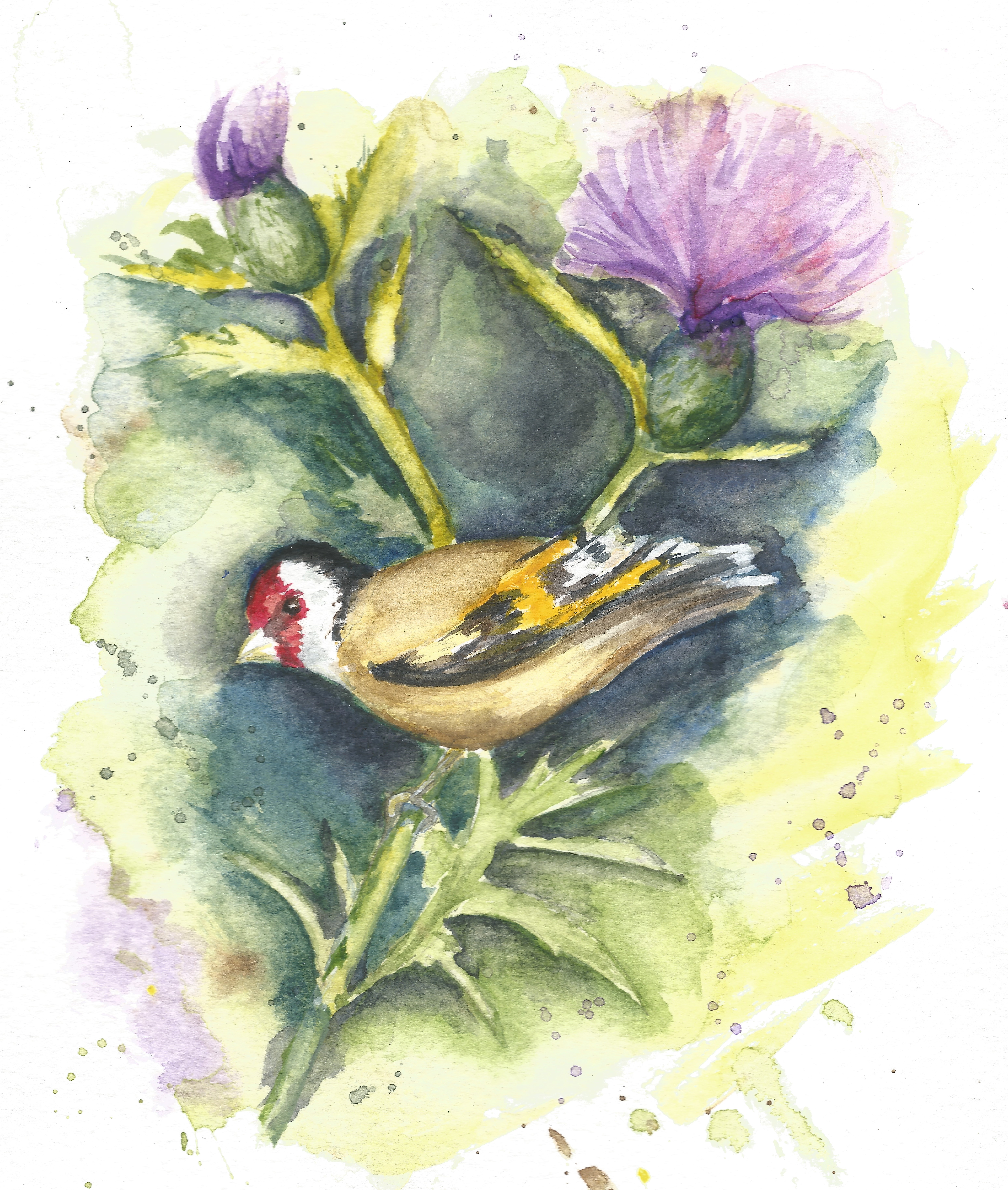 Goldfinch (NFS)