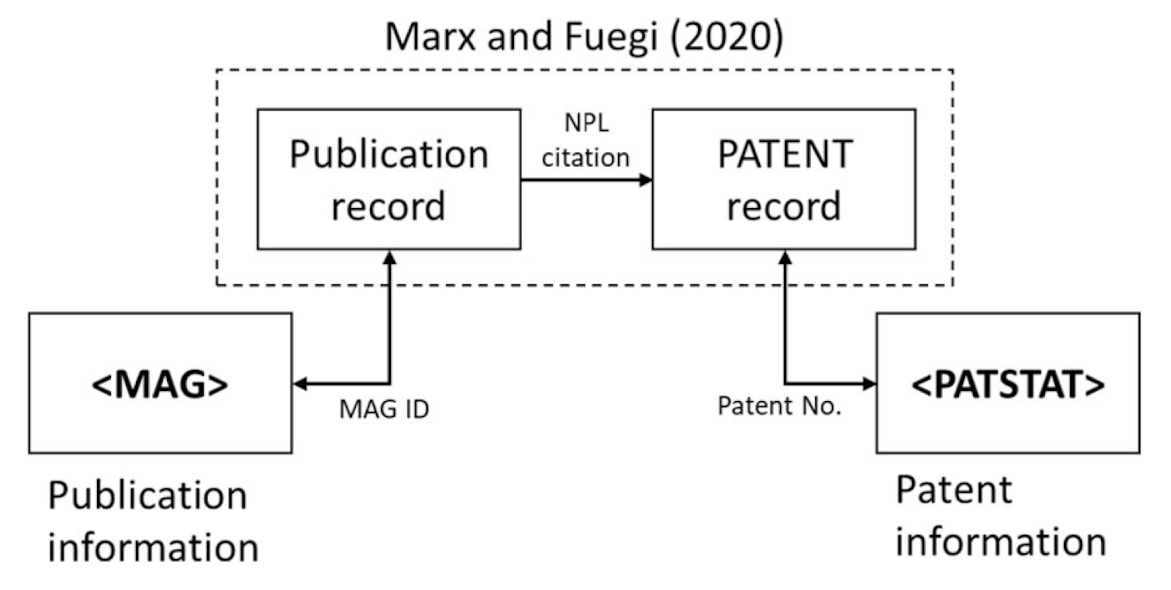 Overview how the dataset on patent citations to scientific publications has been generated.