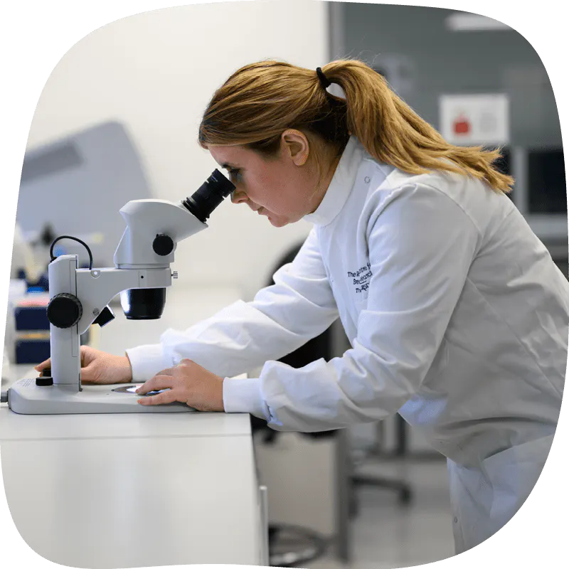 Researcher in a lab looking into a microscope.