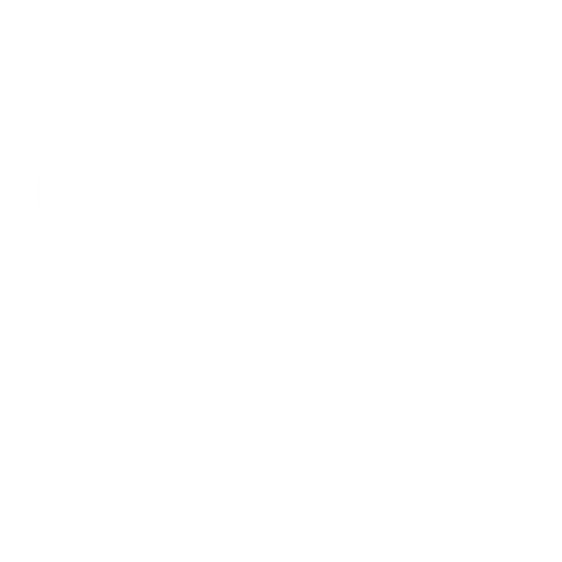 salesfoce logo white