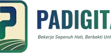 PADIGITAL Logo