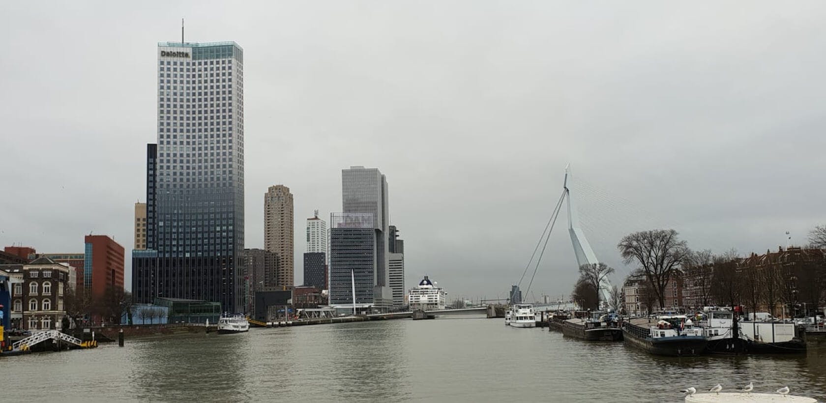 Van Zanten Arbo Consultancy