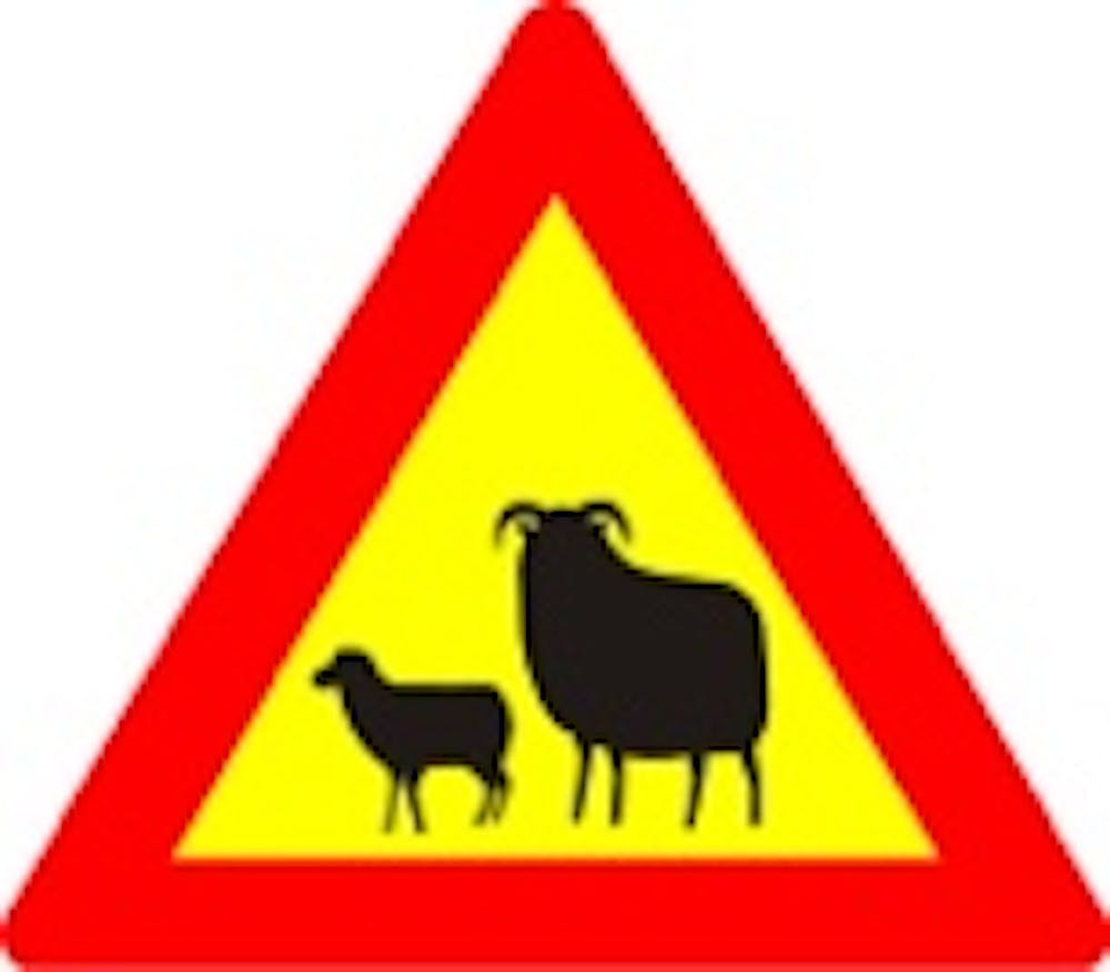 Sheep on Icelandic roads