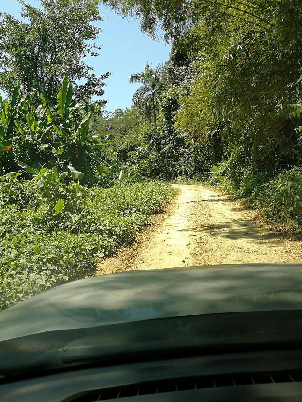 Met een gehuurde 4wd offroad in de jungle van Costa Rica.