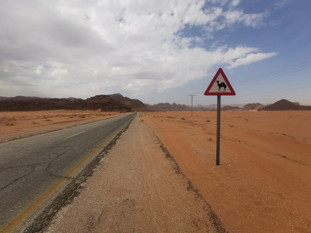 Waarschuwingsbord met kameel langs weg Jordanië Dieren en andere obstakels op de weg Jordaniê