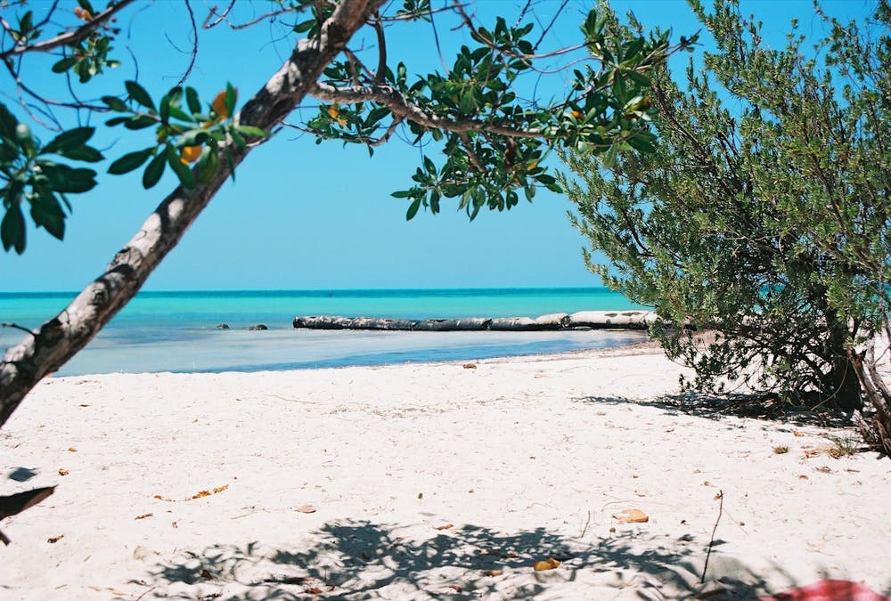 With your rental car to the playa of Holbox Rent a car in Cancun or Playa del Carmen in Mexico