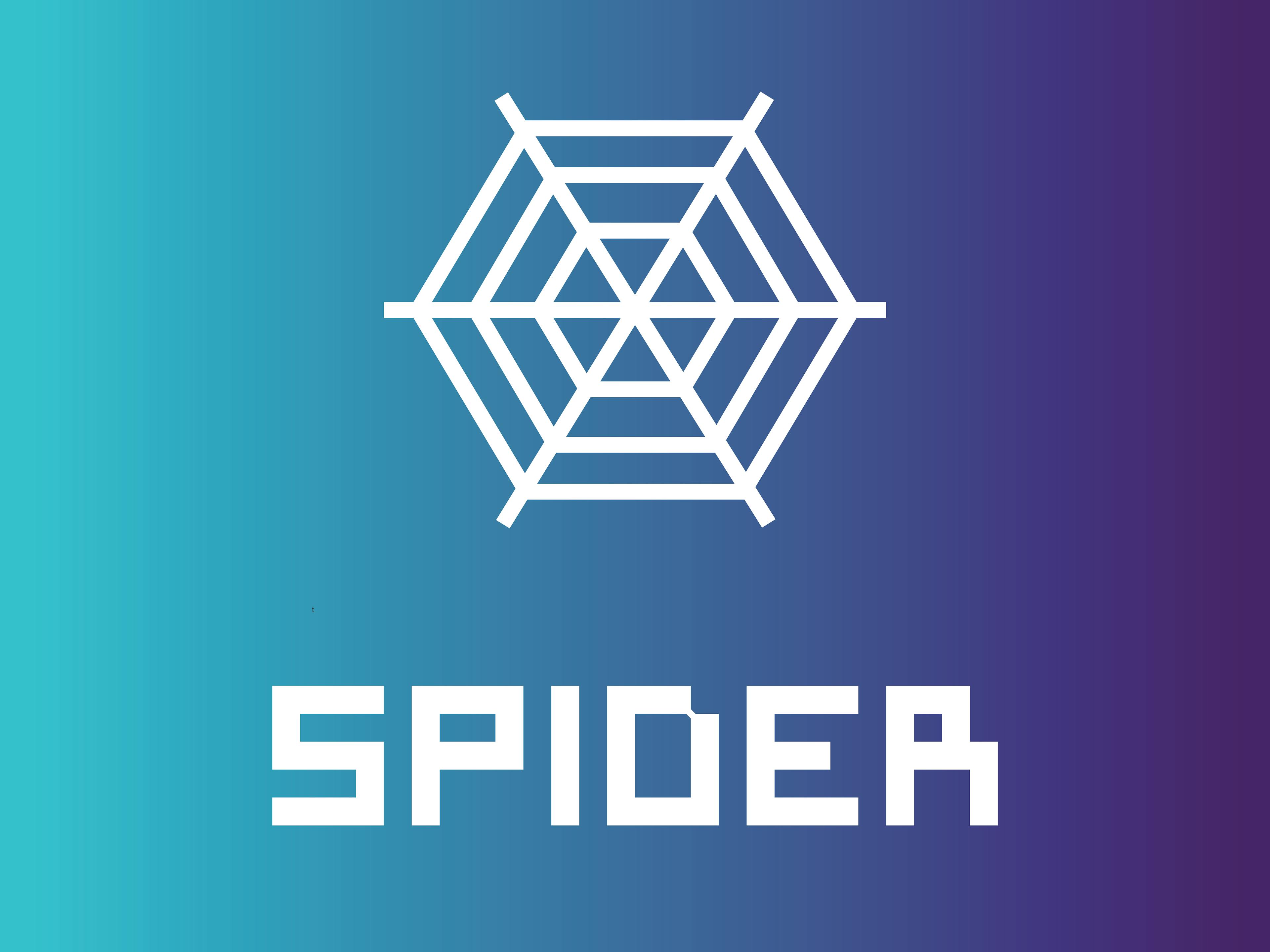 Spider Graph Generator Logo