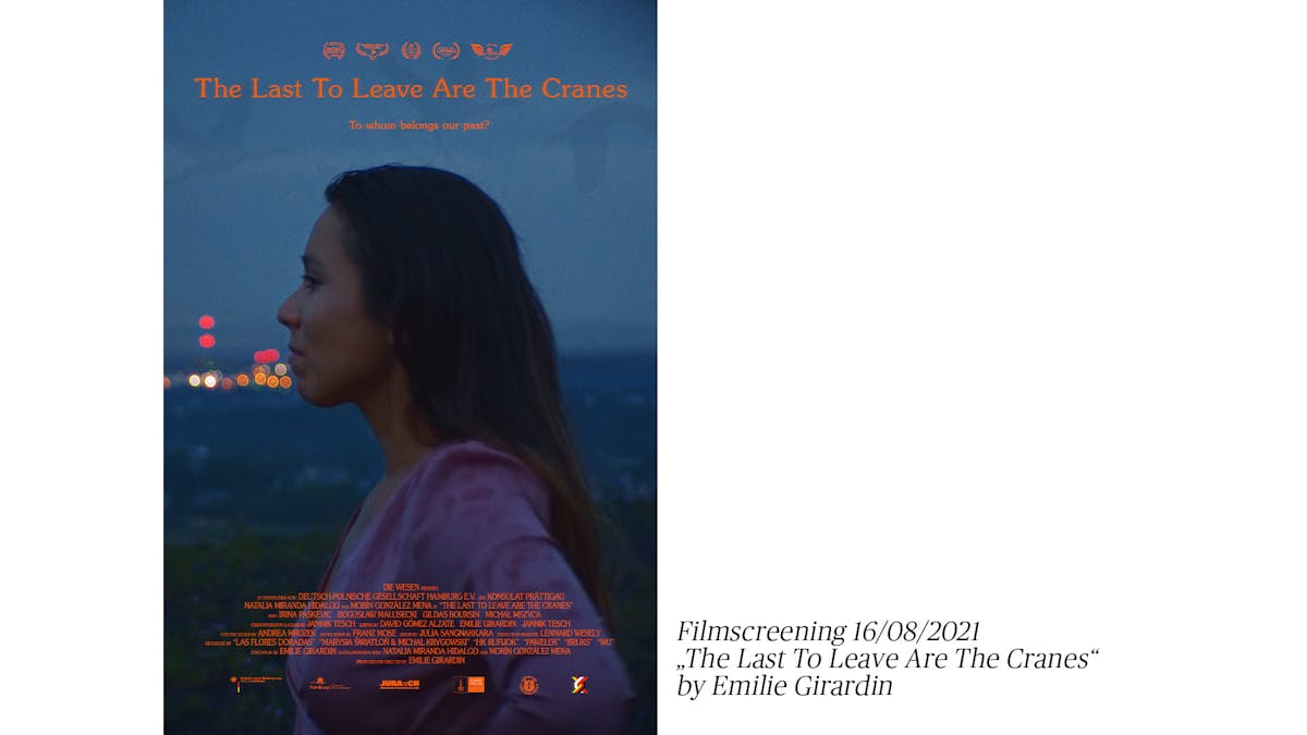 the last to leave are the cranes by emilie girardin filmscreening gallery franklin basel 