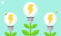 lightbulbs, lightening bolts and bees