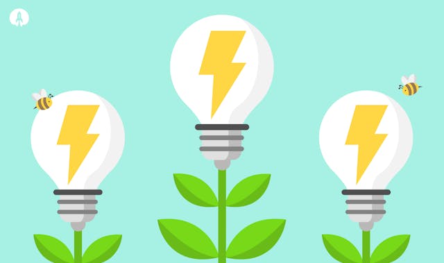 lightbulbs, lightening bolts and bees
