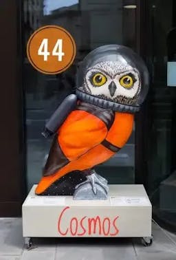 Cosmos the Owlstranaut