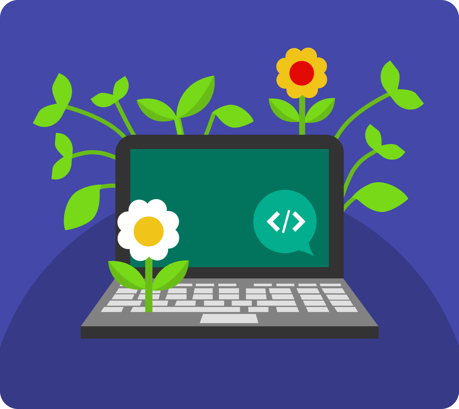 laptop with plants