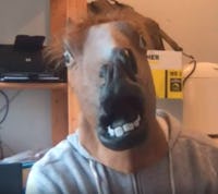 Horse head