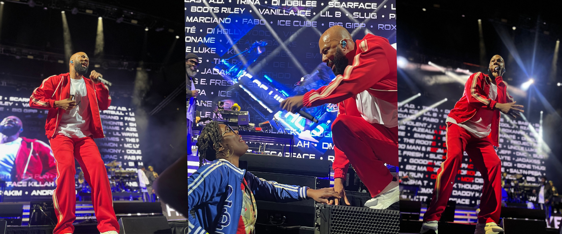 Common at the Chicago stop of LL COOL J's F.O.R.C.E. Tour 8/13