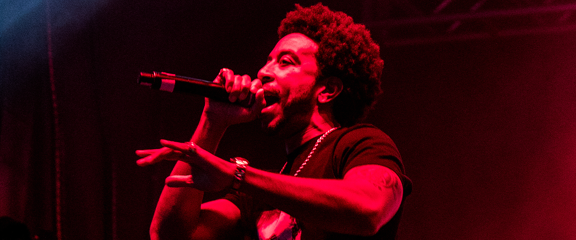 Ludacris Performing