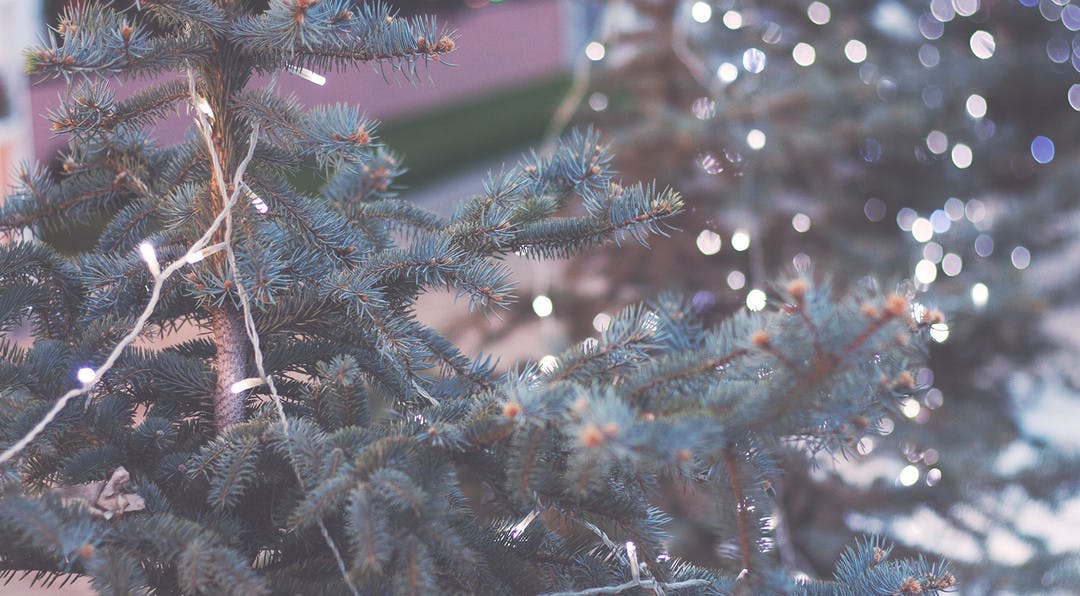 Close of up a christmas tree with white fairy lights