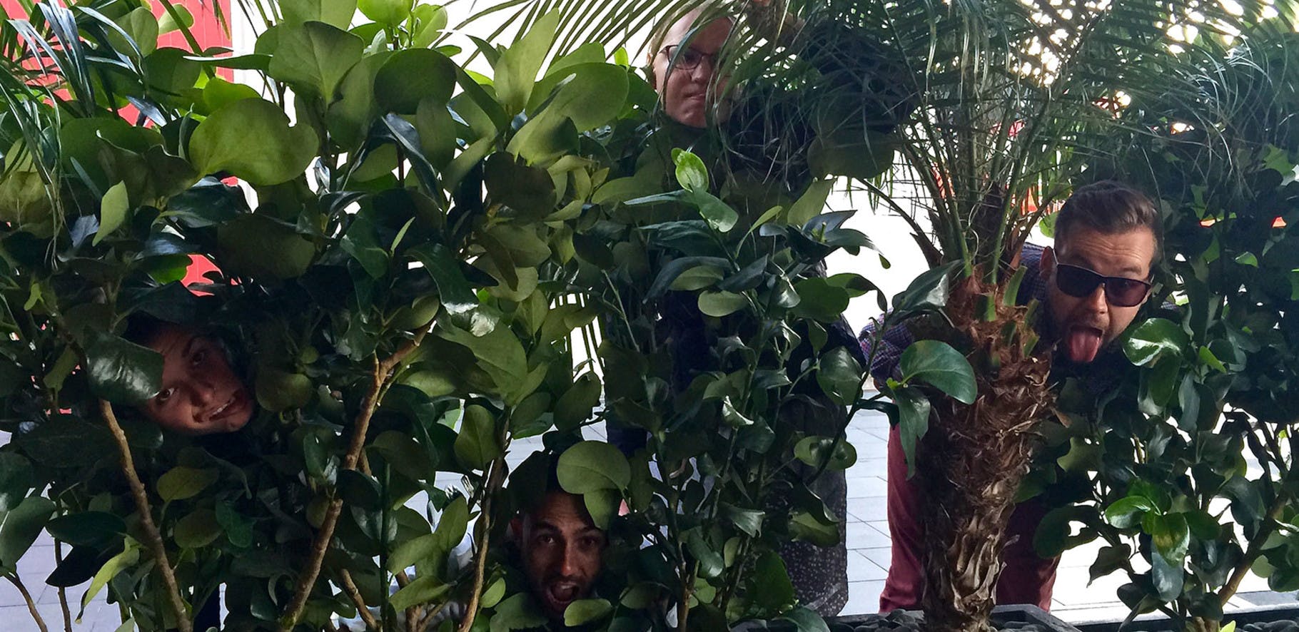 funny image of people peering through some bushes