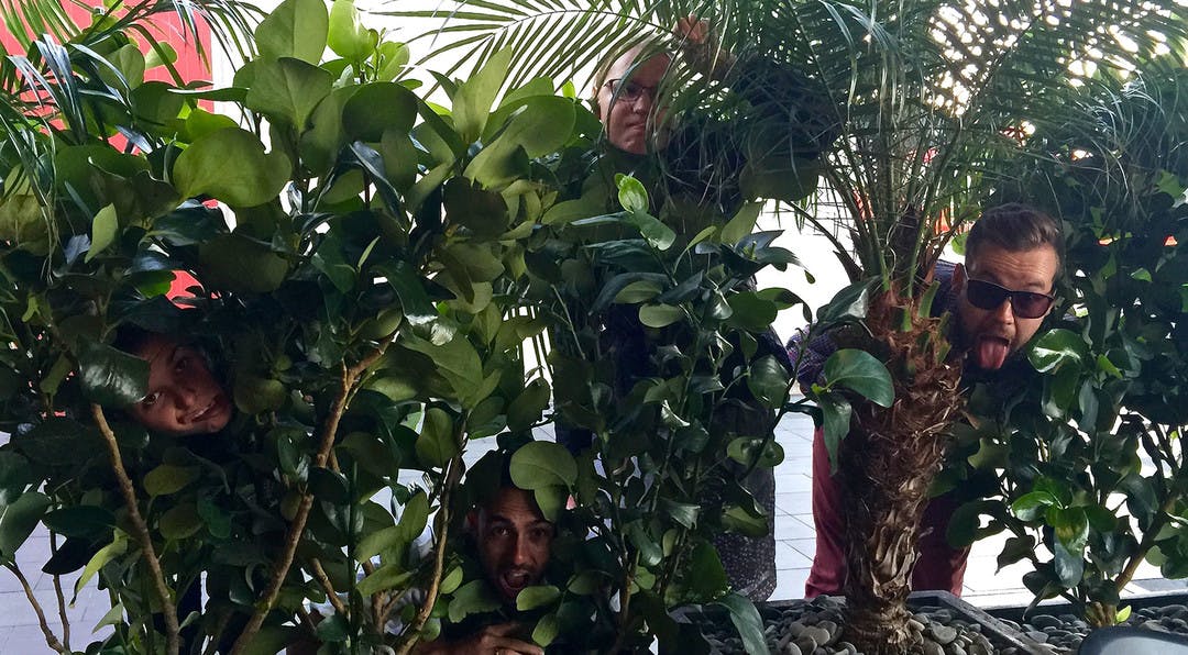 funny image of people peering through some bushes