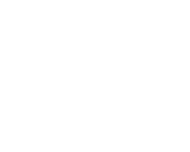 Icon: Wifi