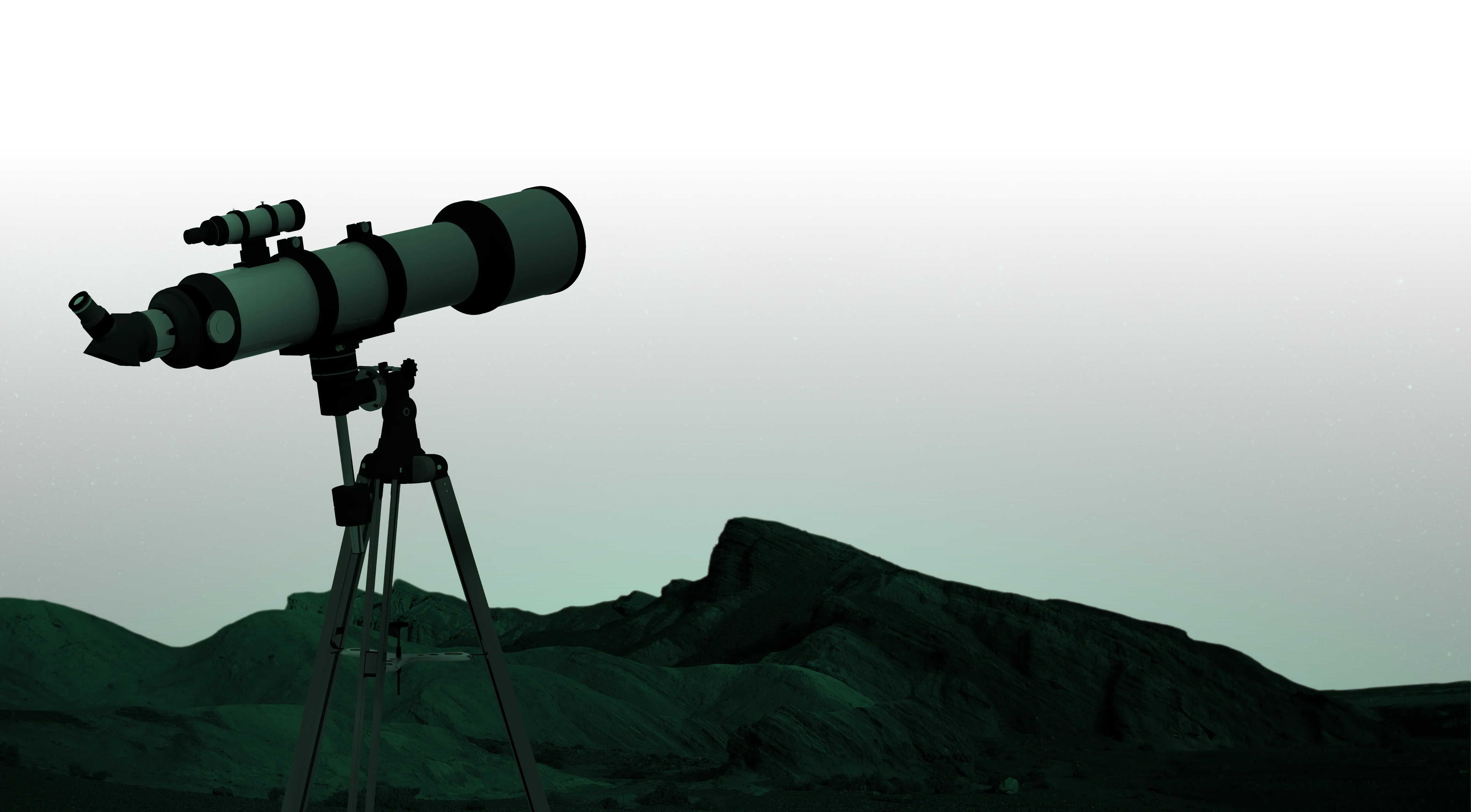 Observe the Roomys World